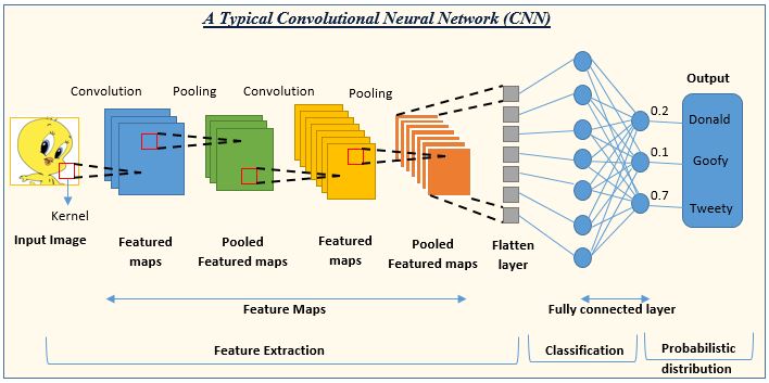 convolution neural network